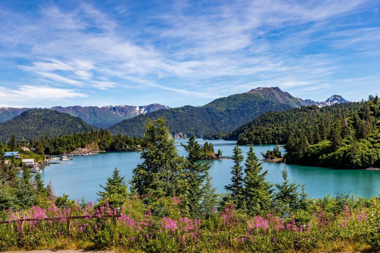 Stillpoint Lodge - All-Inclusive Halibut Cove Exterior foto
