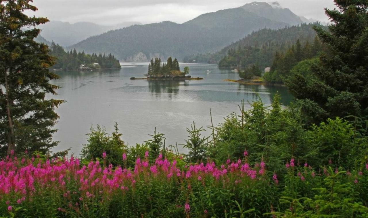 Stillpoint Lodge - All-Inclusive Halibut Cove Exterior foto